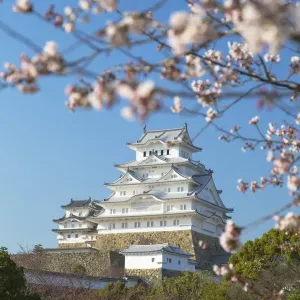 Himeji Castle (UNESCO World Heritage site), Himeji, Kansai, Honshu, Japan Himeji Castle (UNESCO World Heritage site), Himeji, Kansai, Honshu, Japan