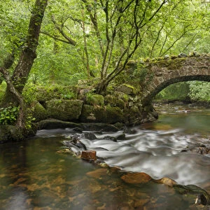 Hisley Bridge crossing the River Bovey in Lustleigh Cleave, Dartmoor, Devon, England