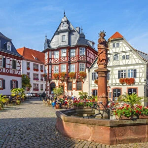 Historical market place, Heppenheim, Hessische Bergstrasse, Odenwald, Hesse, Germany