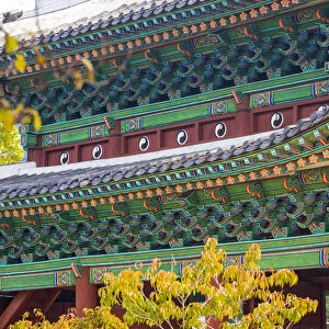 Honghwamun Gate, Changgyeonggung Palace, Seoul, South Korea