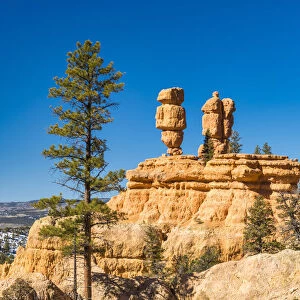 Hoodoos in Red Canyon, Dixie National Forest, Utah, USA