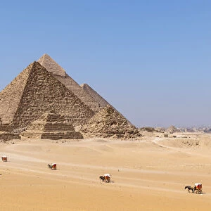 Horse and carridge at the Pyramids of Giza, Giza, Cairo, Egypt