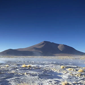 Hot springs of Termas de Polques on the Altiplano, Potosi Department, Bolivia