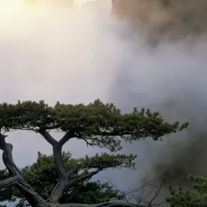 Huang Shan Mountains, Anhui province, China