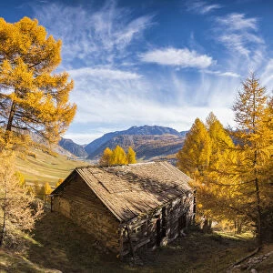The hut in the woodland, Livigno, Province of Sondrio, Lombardy, Italy