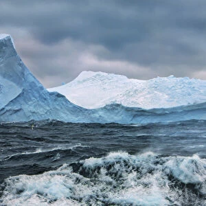 Iceberg near Zavodovski Island - South Sandwich Islands, Zavodovski Island