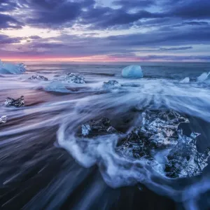 Icebergs Washed Ashore on East Iceland Black Sands Print