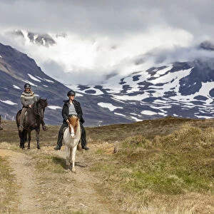 Iceland, Akureyri, 3 people riding Icelandic horses