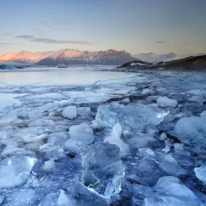 Images Dated 2012 January: 15 Jan 2012