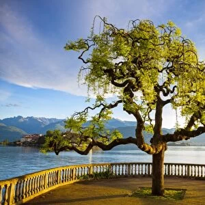 Idyllic lakeside park & Isola Bella, Borromean Islands, Lake Maggiore, Piedmont, Italy