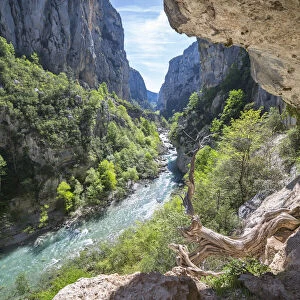The Imbut Trial along the Verdon River in the Verdon Gorge (Var department, Provence-Alpes-Cote d Azur, France)