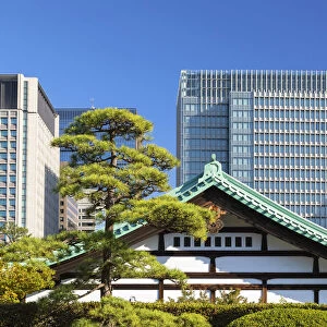 Imperial Palace East Garden and skyscrapers of Marunouchi, Tokyo, Japan