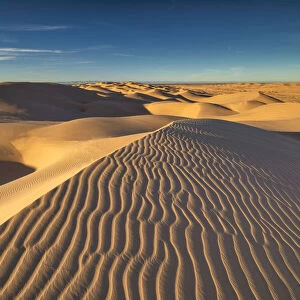 Imperial Sand Dunes National Recreation Area, California, USA