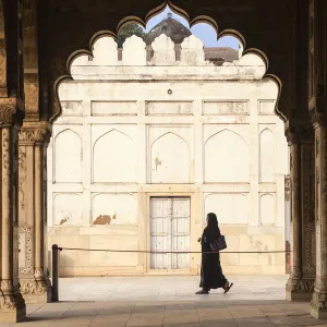 India, Delhi, Old Delhi, Red Fort, Diwan-i-Khas- hall of private audience