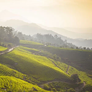 India, Kerala, Munnar, Road winding through Munnar tea estates
