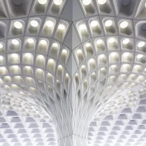 Mumbai International Airport Print
