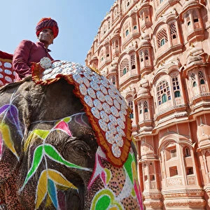 India, Rajasthan, Jaipur, Ceremonial decorated Elephant outside the Hawa Mahal, Palace