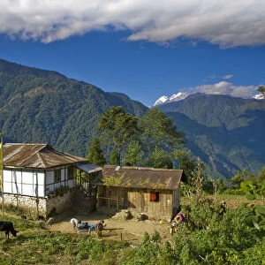 India, Sikkim, Khecheopalri Lake, House with Kanchenjunga range in background