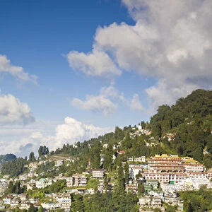 India, West Bengal, Darjeeling, Druk Sangag Choeling Monastery (Dali Monastery)