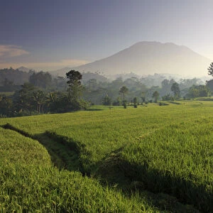 Indonesia, Bali, Sidemen, Iseh, Rice Fields and Gunung Agung Volcano