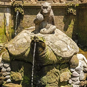 Indonesia, Bali, tortoise fountain