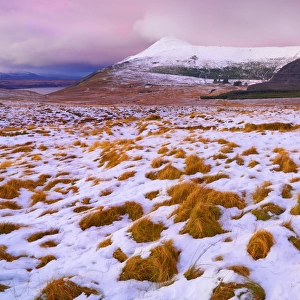 Ireland, Co. Donegal, Derryveagh mountains, Muckish in snow