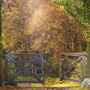 Ireland, Co. Donegal, Glenveagh National Park, open gate