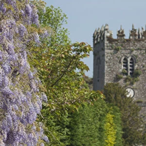 Ireland, County Kilkenny, Inistioge, flower covered house