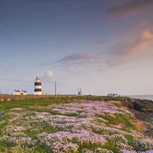 Ireland, County Wexford, Hook Peninsula, Hook Head, Hook Head LIghthouse, sunset