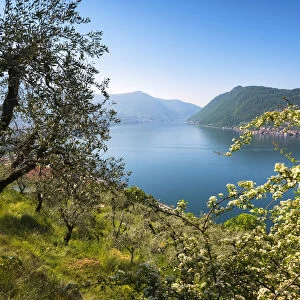 Iseo lake, Brescia province, Lombardy district, Italy, Europe