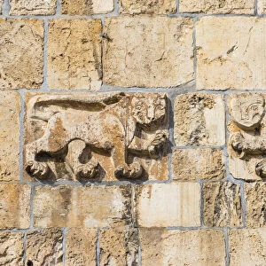 Israel, Jerusalem, Old City, St Stephens Gate - The Lion Gate