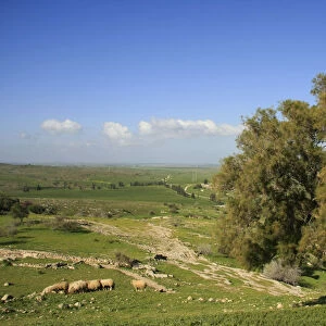 Israel, Shephelah from Tel Zafit, identified as Gath, one of the ancient Canaanite