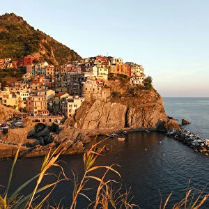 Italy, Liguria, La Spezia district, Cinque Terre, Manarola