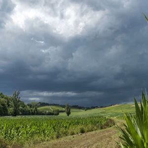 Italy, Piedmont, a thunderstorm over the cornfield