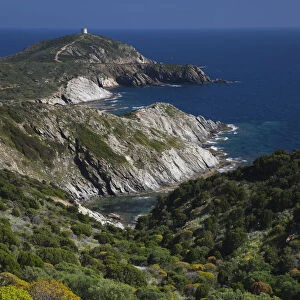 Italy, Sardinia, Southwest Sardinia, Capo Malfatano landscape