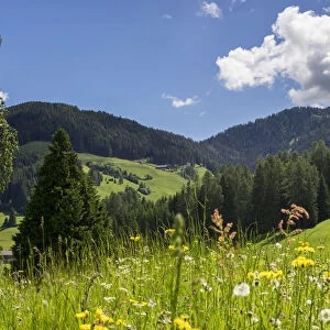 Italy, Trentino-Alto Adige Alps, Dolomites Bolzano district Fanes Sennes Braies Natural
