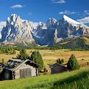 Italy, Trentino-Alto Adige, South Tyrol, Bolzano district, Alpe di Siusi, Seiser Alm
