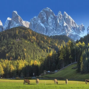 Italy, Trentino Alto Adige, South Tyrol Region, Val di Funes and Santa Magdalena town