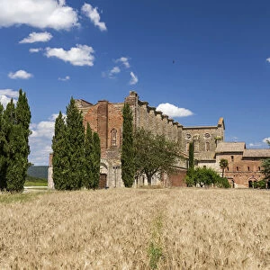 Italy. Tuscany. Siena district Chiusdino. San Galgano Abbey