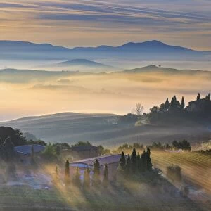 Italy, Tuscany, Siena district, Orcia Valley, Podere Belvedere near San Quirico d Orcia