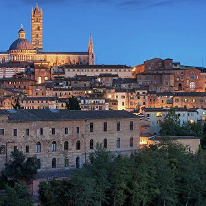 Italy, Tuscany, Siena town, old town, Cathedral