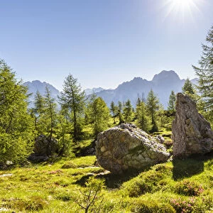 Italy, Veneto, Belluno district, Cortina d Ampezzo, view of meadows