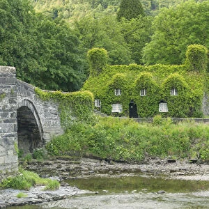 Ivy-covered Cottage Tearoom & Bridge, Llanwrst, Conwy, Wales