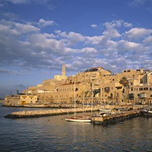 Jaffa Harbour