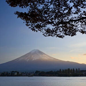 Japan, Honshu Island, Kawaguchi Ko Lake, Mt. Fuji and Maple Trees