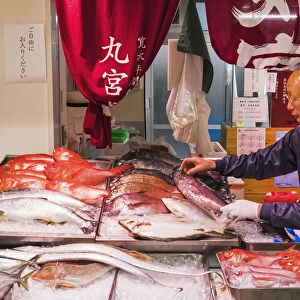 Japan, Honshu, Tokyo, Tsukiji Market, Fish Shop Display