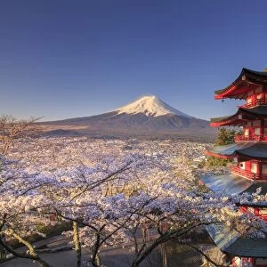 Japan, Yamanashi Prefecture, Fuji-Yoshida, Chureito Pagoda and Mt Fuji during Cherry