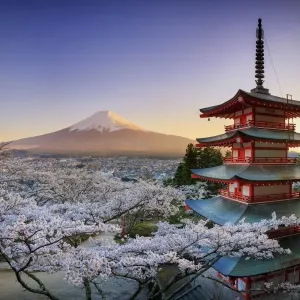 Japan, Yamanashi Prefecture, Fuji-Yoshida, Chureito Pagoda, Mt Fuji and Cherry Blossoms Japan, Yamanashi Prefecture, Fuji-Yoshida, Chureito Pagoda, Mt Fuji and Cherry Blossoms