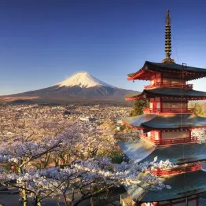 Japan, Yamanashi Prefecture, Fuji-Yoshida, Chureito Pagoda and Mt Fuji during Cherry Japan, Yamanashi Prefecture, Fuji-Yoshida, Chureito Pagoda and Mt Fuji during Cherry