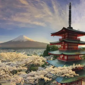Japan, Yamanashi Prefecture, Fuji-Yoshida, Chureito Pagoda, Mt Fuji and Cherry Blossoms Japan, Yamanashi Prefecture, Fuji-Yoshida, Chureito Pagoda, Mt Fuji and Cherry Blossoms